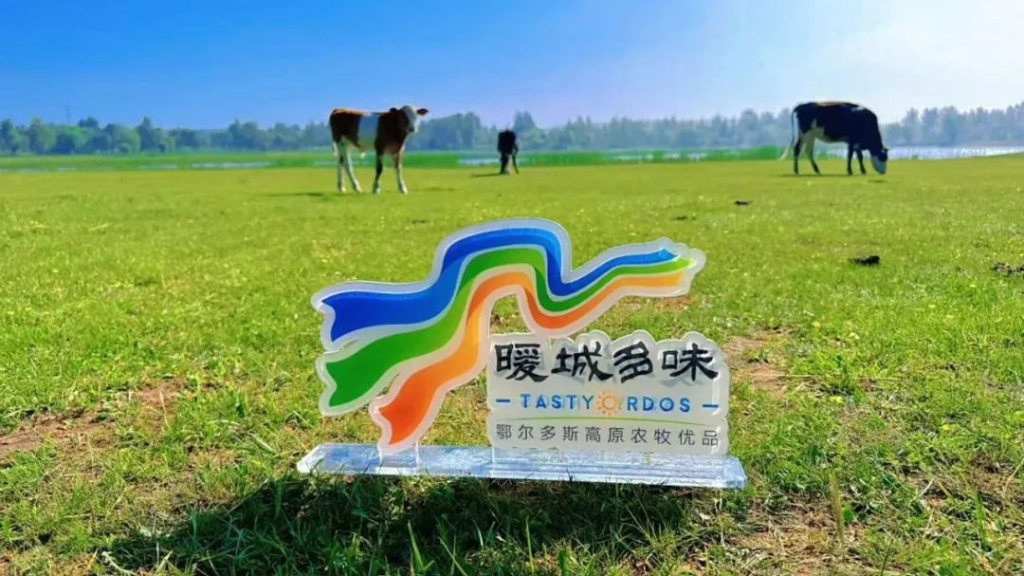 鄂尔多斯“暖城多味”将亮相哈尔滨 “草原优品”
